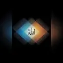عضو متفاعل مولاي