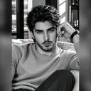 عضو متفاعل شامخ